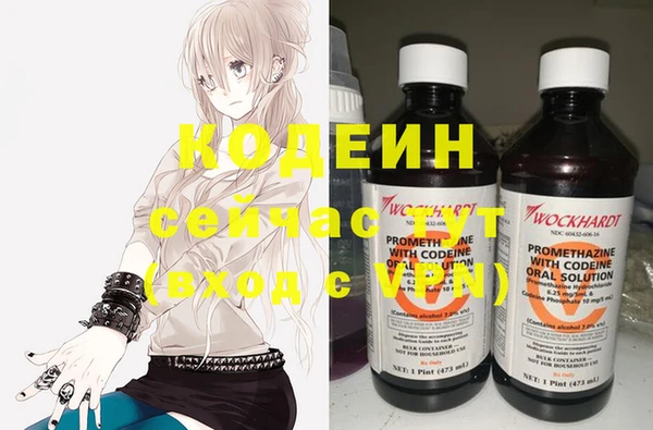ECSTASY Абаза