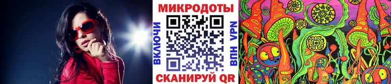 Псилоцибиновые грибы Cubensis Новое Девяткино